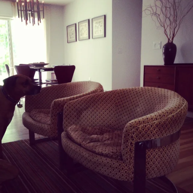    I loved the decor of the house we rented. &nbsp;Especially the chairs.  