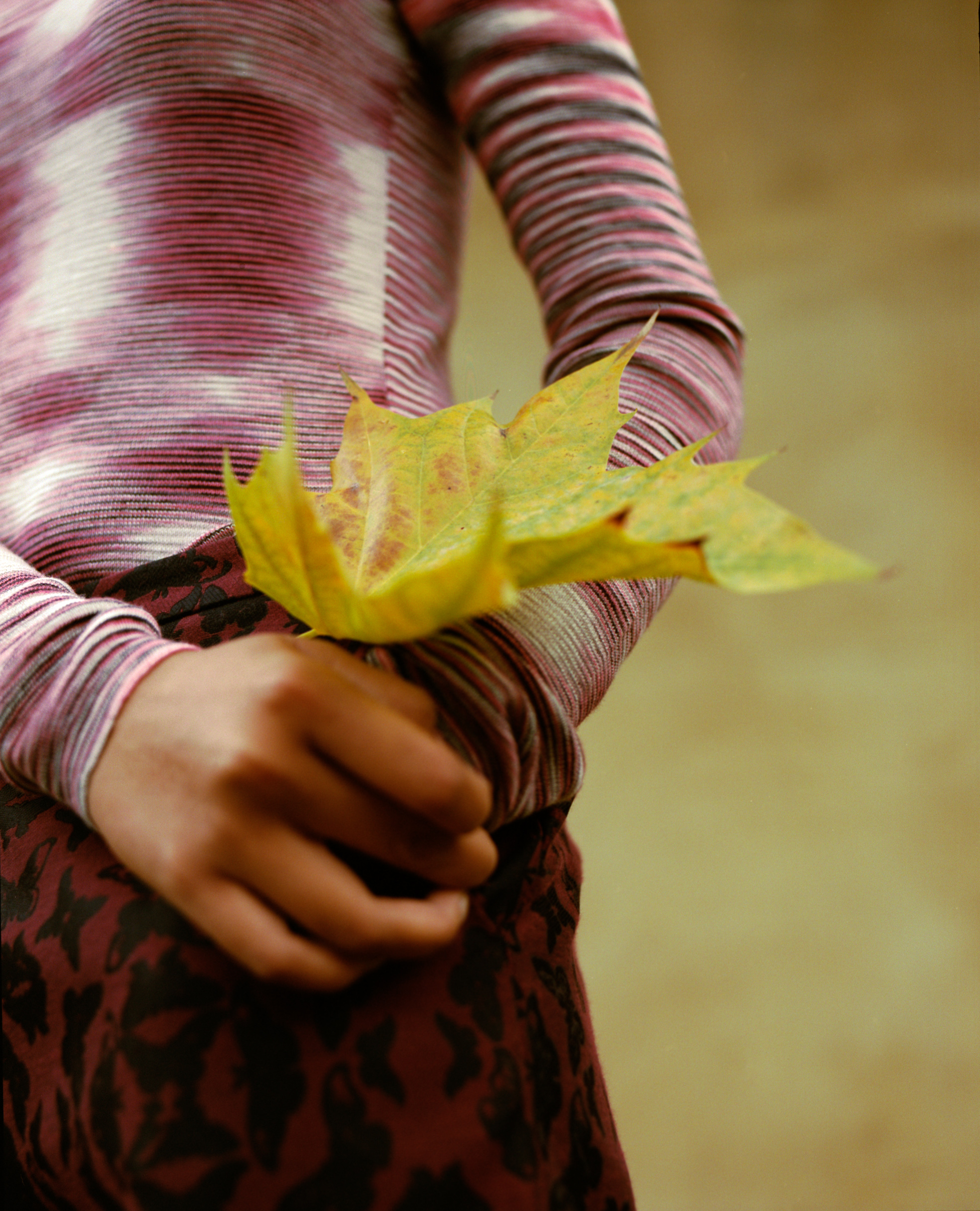 HUES - ALVAR MAGAZINE