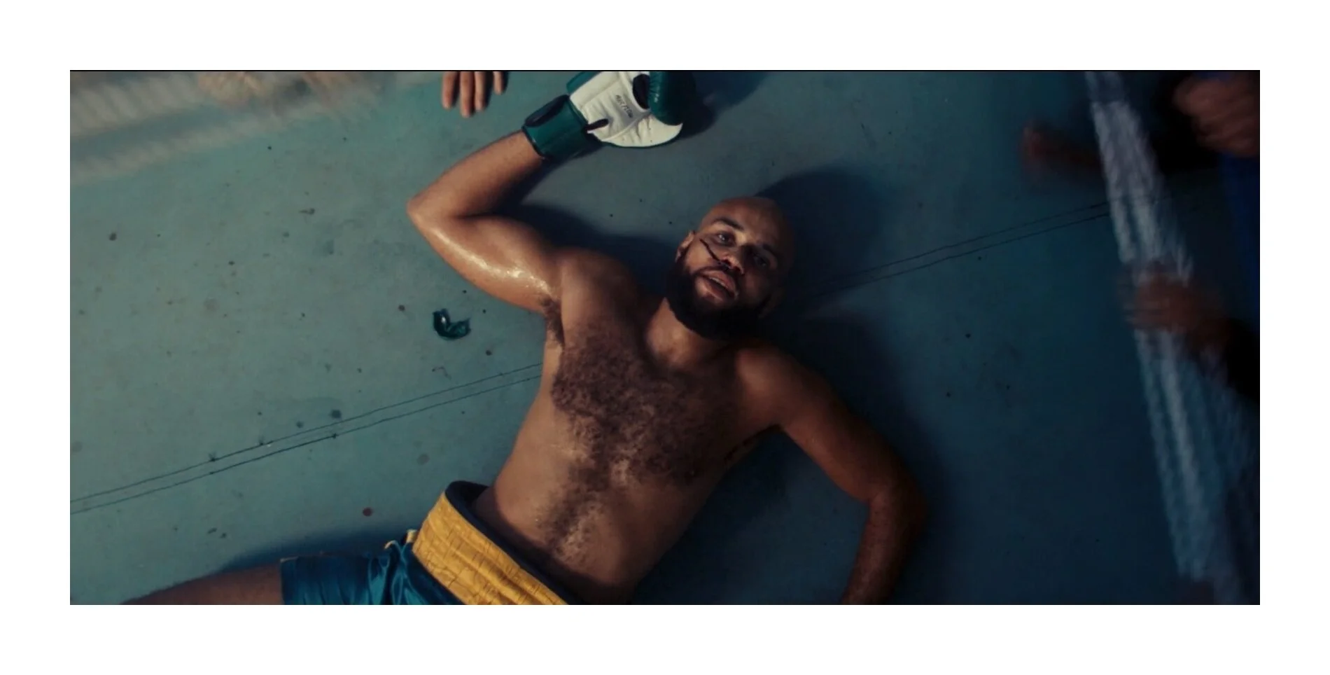 Meridian Dan - Vegan Chat