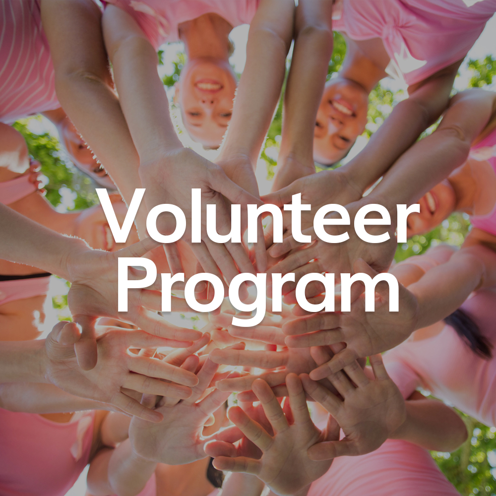 Icon Volunteer Program.jpg