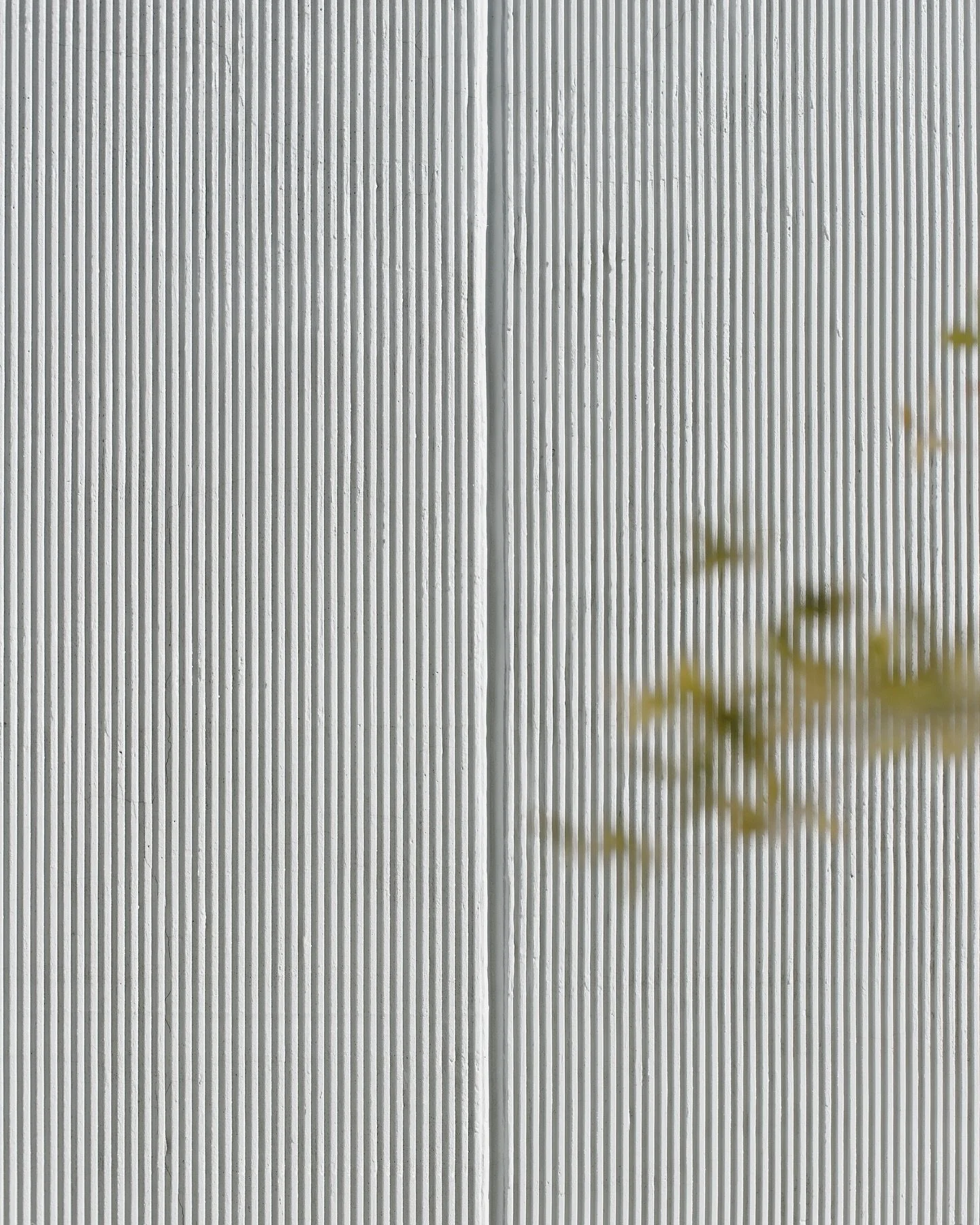 Textura cerca, textura lejos...
.
.
.
[ RESIDENTIAL | ARCHITECTURE ]
.
&bull; STRASSER &bull;
.
📸 @galar.galeriaarquitectura
.
.
.
.
.
.
.
.
.
#architecture #architecturelovers #architecturephotography #archilovers #architecture_view #architecturepo