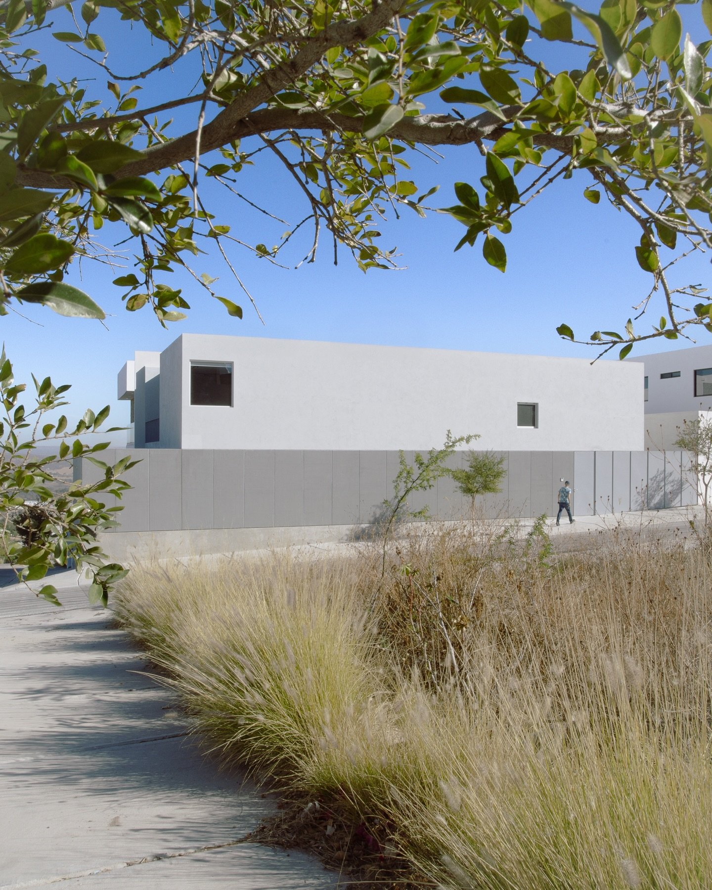 Anything but simple pt. 2
.
.
.
[ RESIDENTIAL | ARCHITECTURE ]
.
&bull; STRASSER &bull;
.
📸 @galar.galeriaarquitectura
.
.
.
.
.
.
.
.
.
#architecture #architecturelovers #architecturephotography #archilovers #architecture_view architectureporn arch