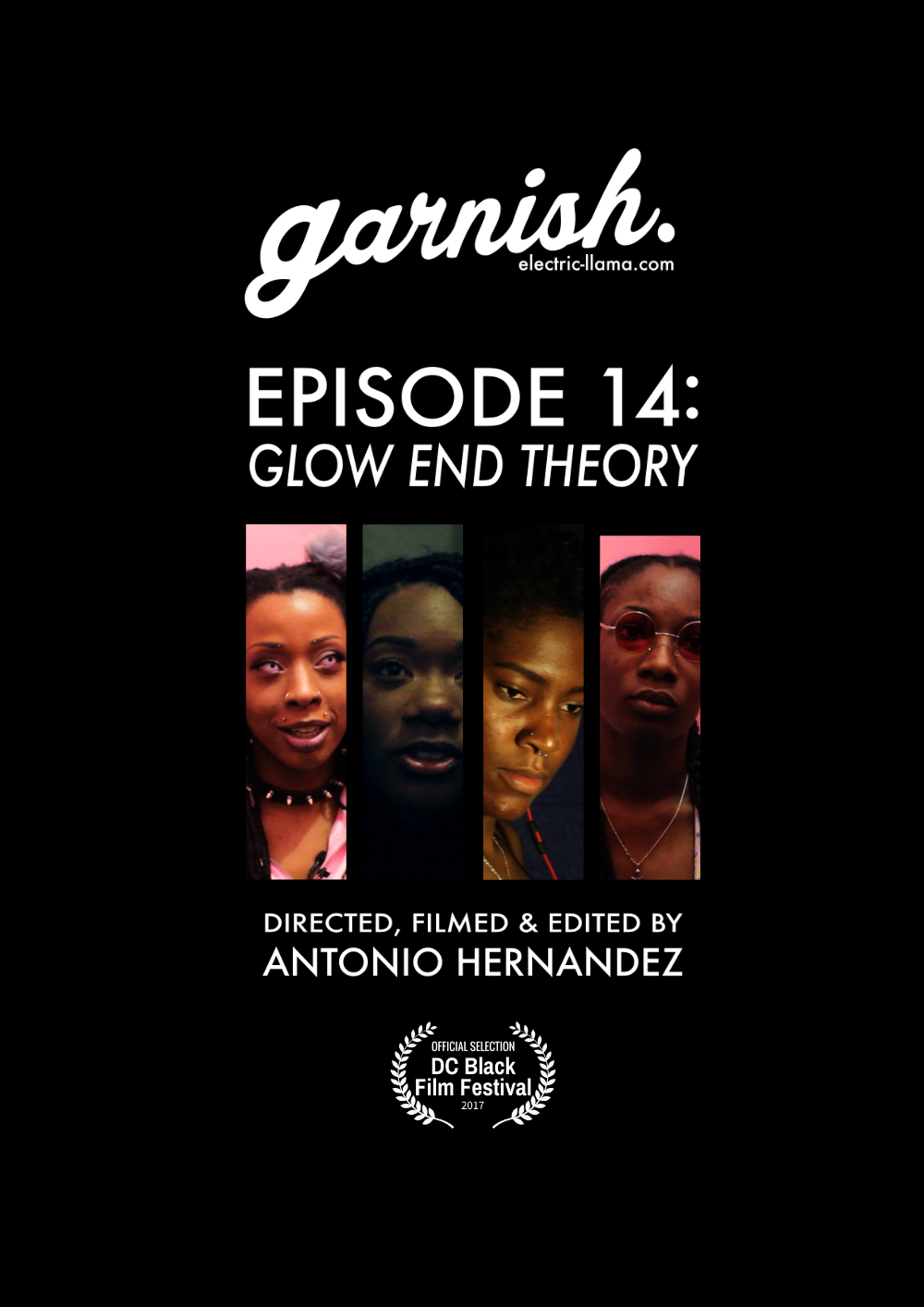Electric Llama - garnish_ep14_poster.png
