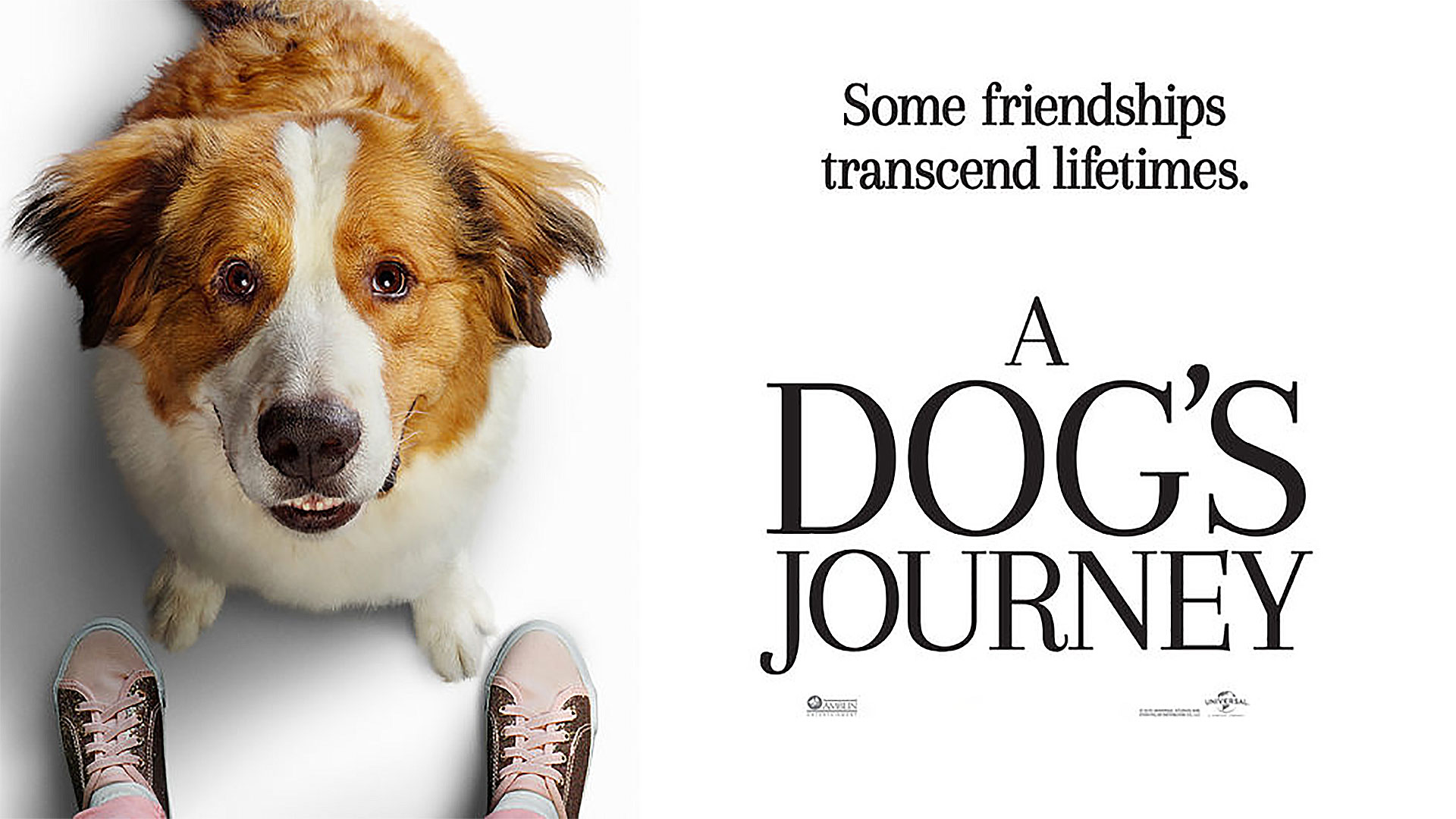A Dog S Journey Review The Forrest Gump Of Dog Movies Picture Lock