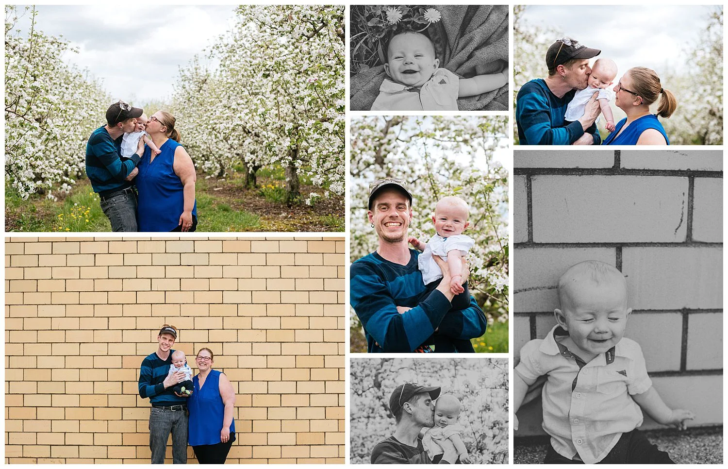Higgs Mini Session