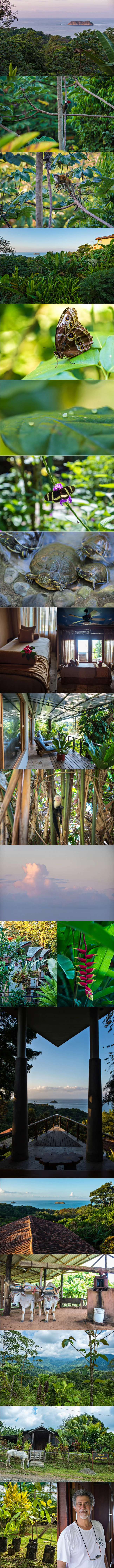 JoshuaBobrove_CostaRica1.jpg