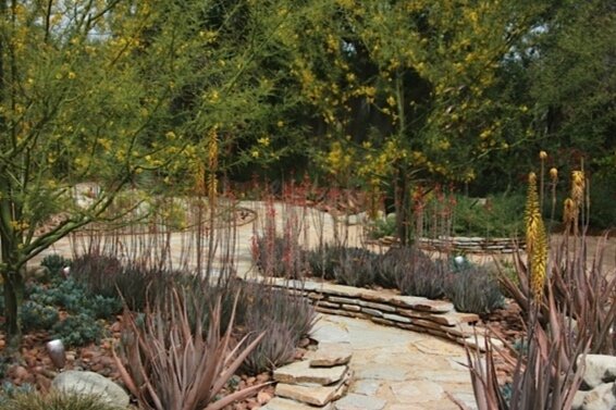   Rothberg residence       Landscape design:    Salvador Rodriguez  