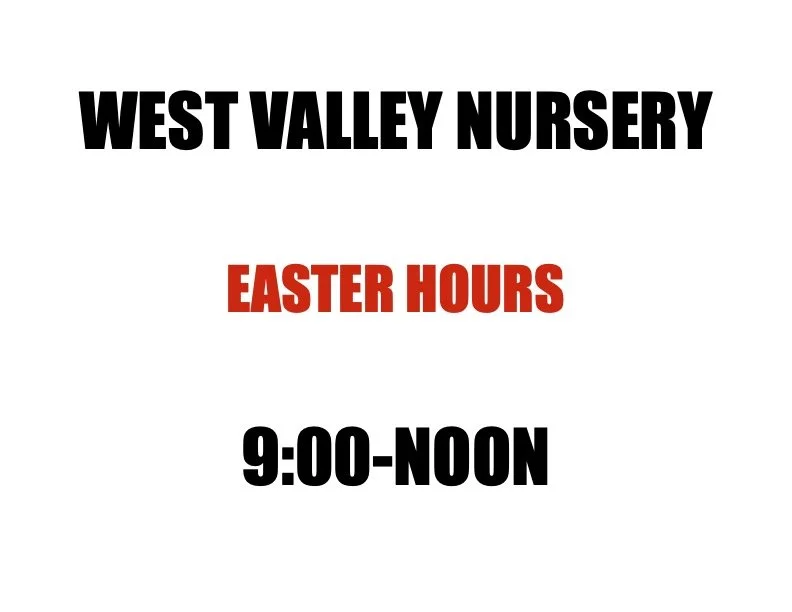WVN EASTER HOURS.jpg