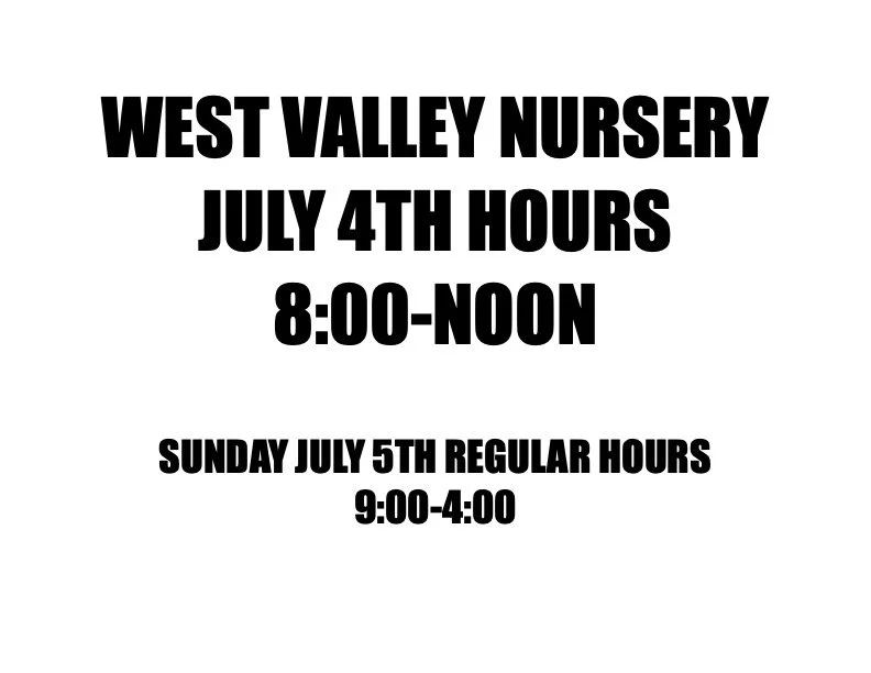 WVN JULY 4.jpg