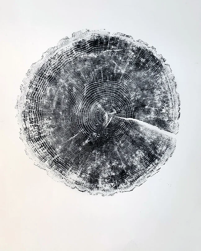  ink on vellum, 24” x 18” 