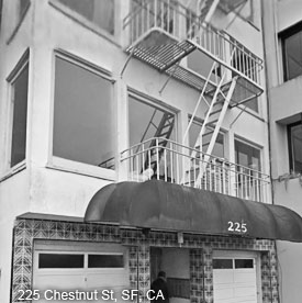 The Telegraph Hill branch