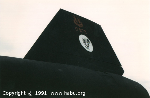 habu-972tail.jpg