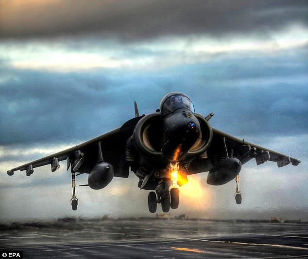Harrier