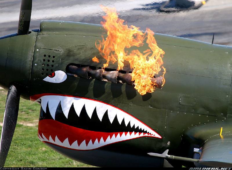 Curtiss P-40 Warhawk: Is there a badder-assed plane in existence? Or a badder-assed anything?