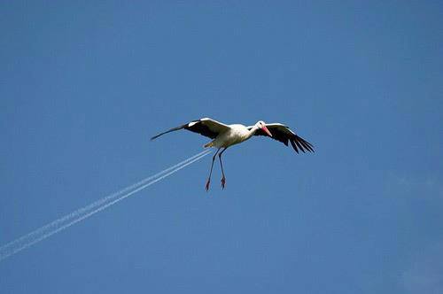 Drone in need of an oil change?