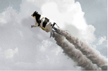 NASA cow with rocket-assisted takeoff (note: I'm not 100% sure this photo is legit)