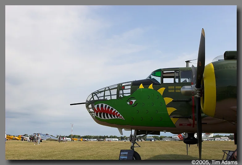 3390 B-25 Nose Art.jpg