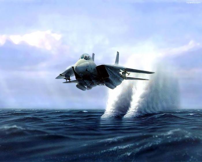 F-14 Tomcat