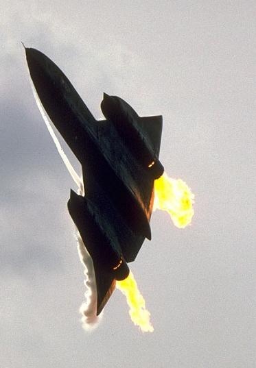 Blackbird
