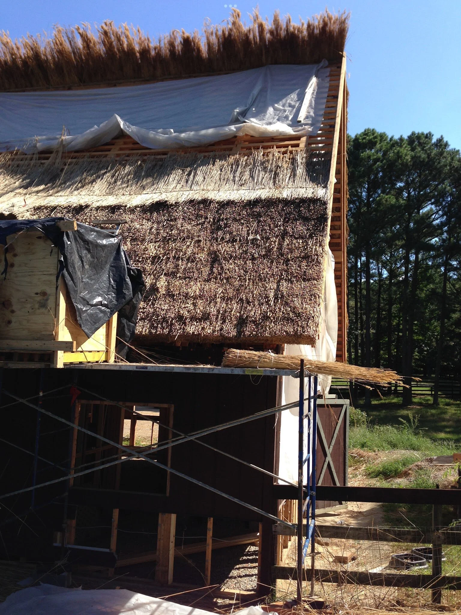 thatching in progress.jpg