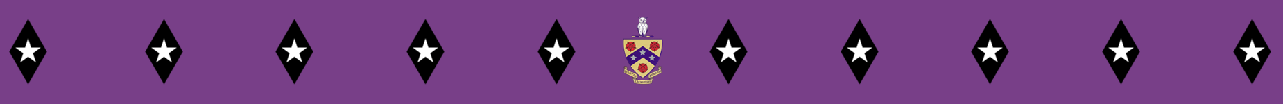 Coat of arms and dimonds banner.png