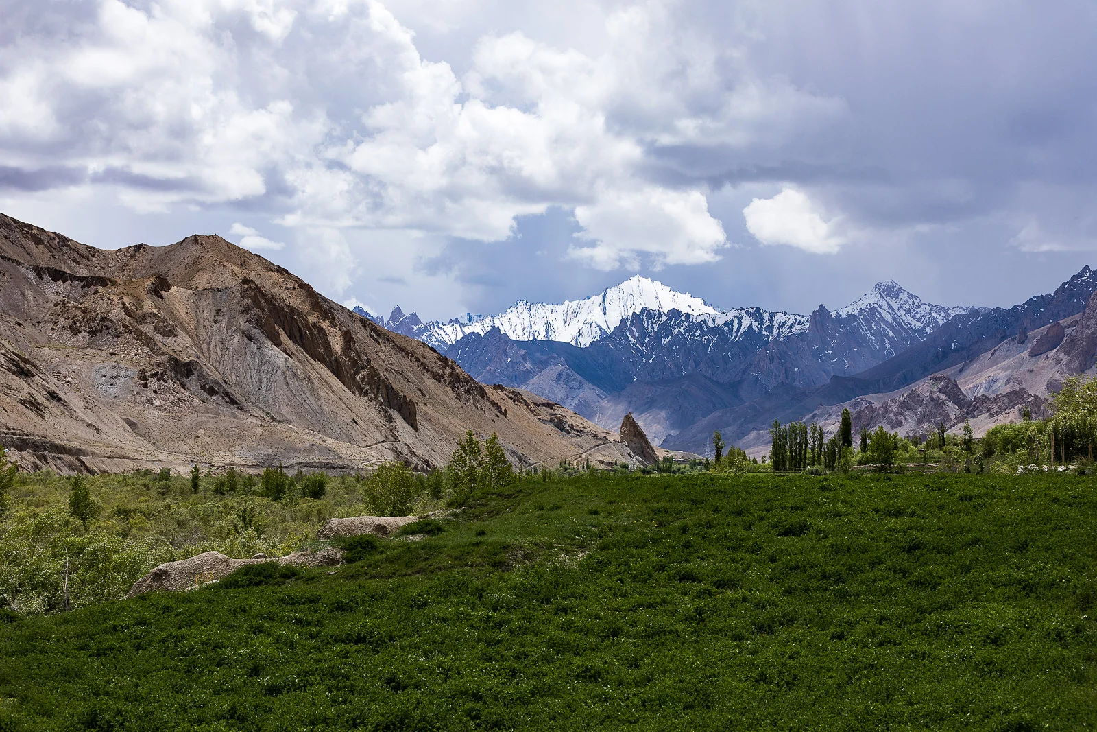 Z5D49112-Edit.jpg