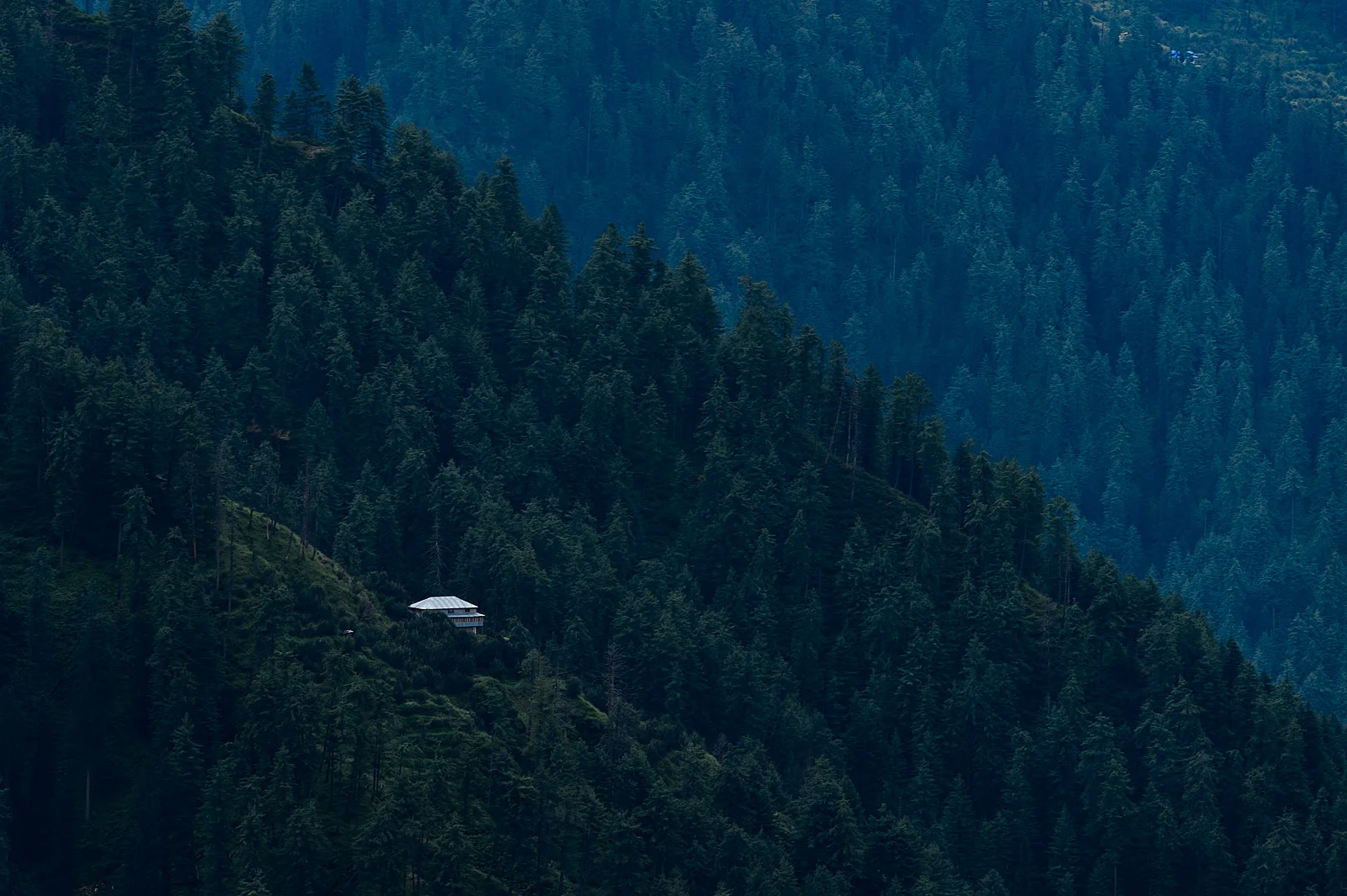 F05_1505-Edit.jpg