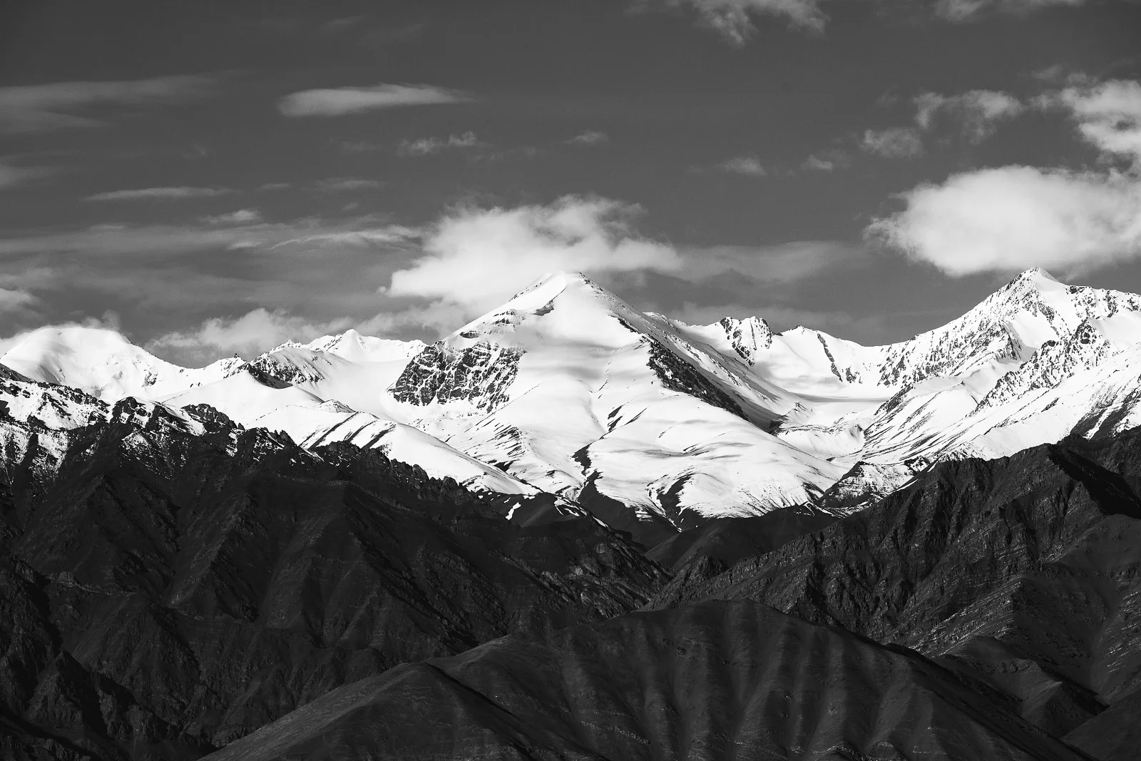Z5D49324-Edit-Edit.jpg