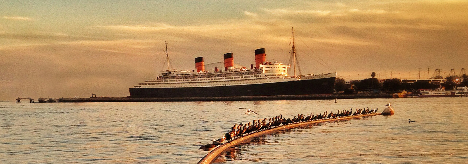 The Queen Banner.jpg