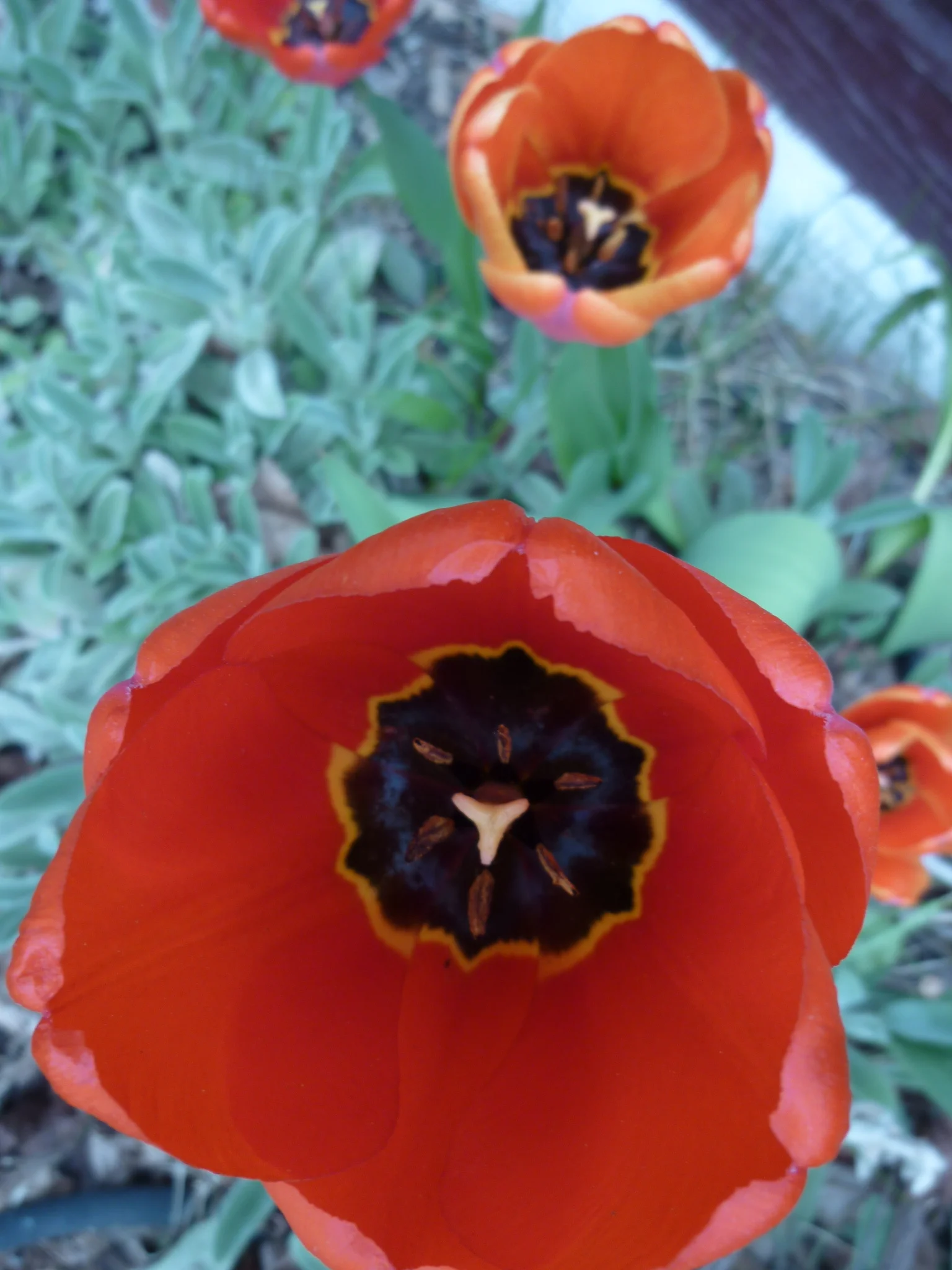 P1020430.jpg