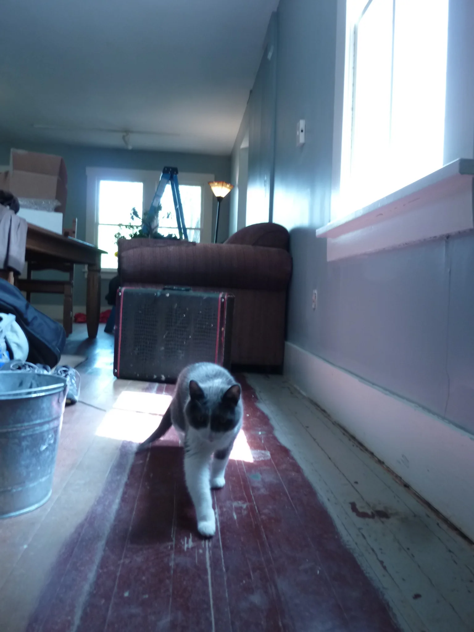 Michi checks the perimeter