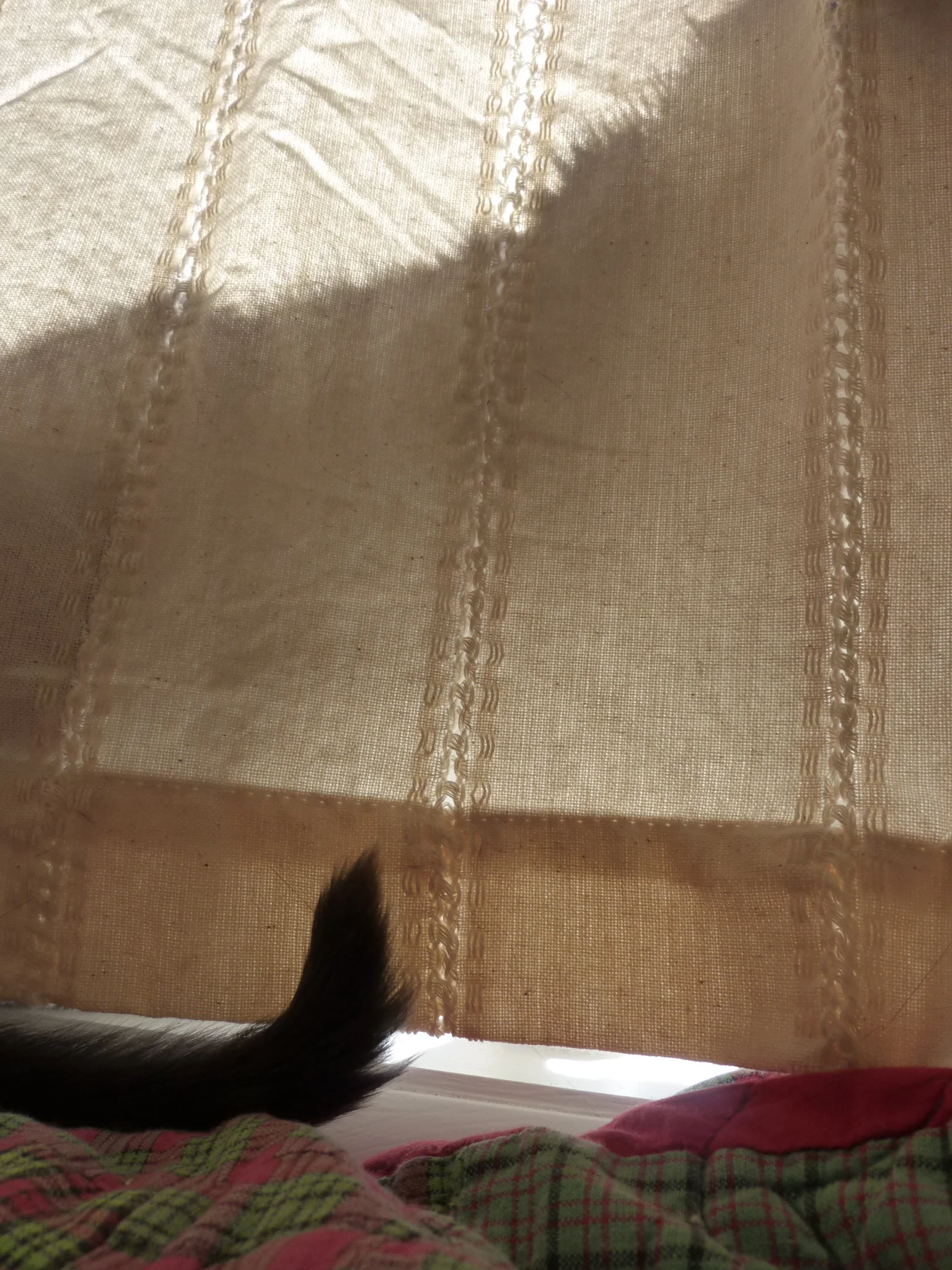 P1030539.jpg