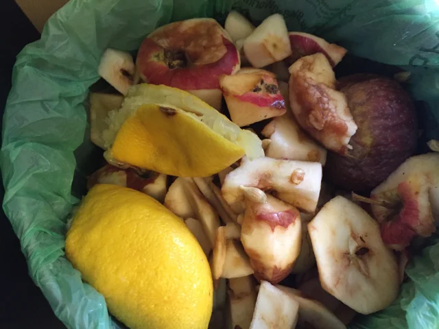 Looking into the compost bin.