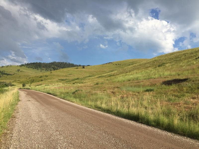 FIGHT BREWING OVER NATIONAL BISON RANGE | Montana Public Radio, 6/13/16