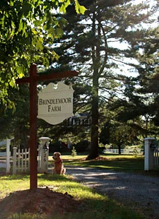 Brindlemoor Farm and the mascot, Buddy.