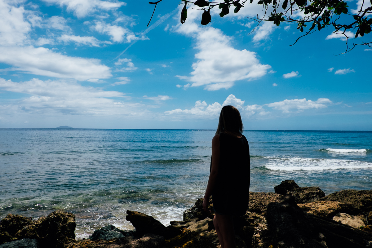 Ocean Watcher San Juan