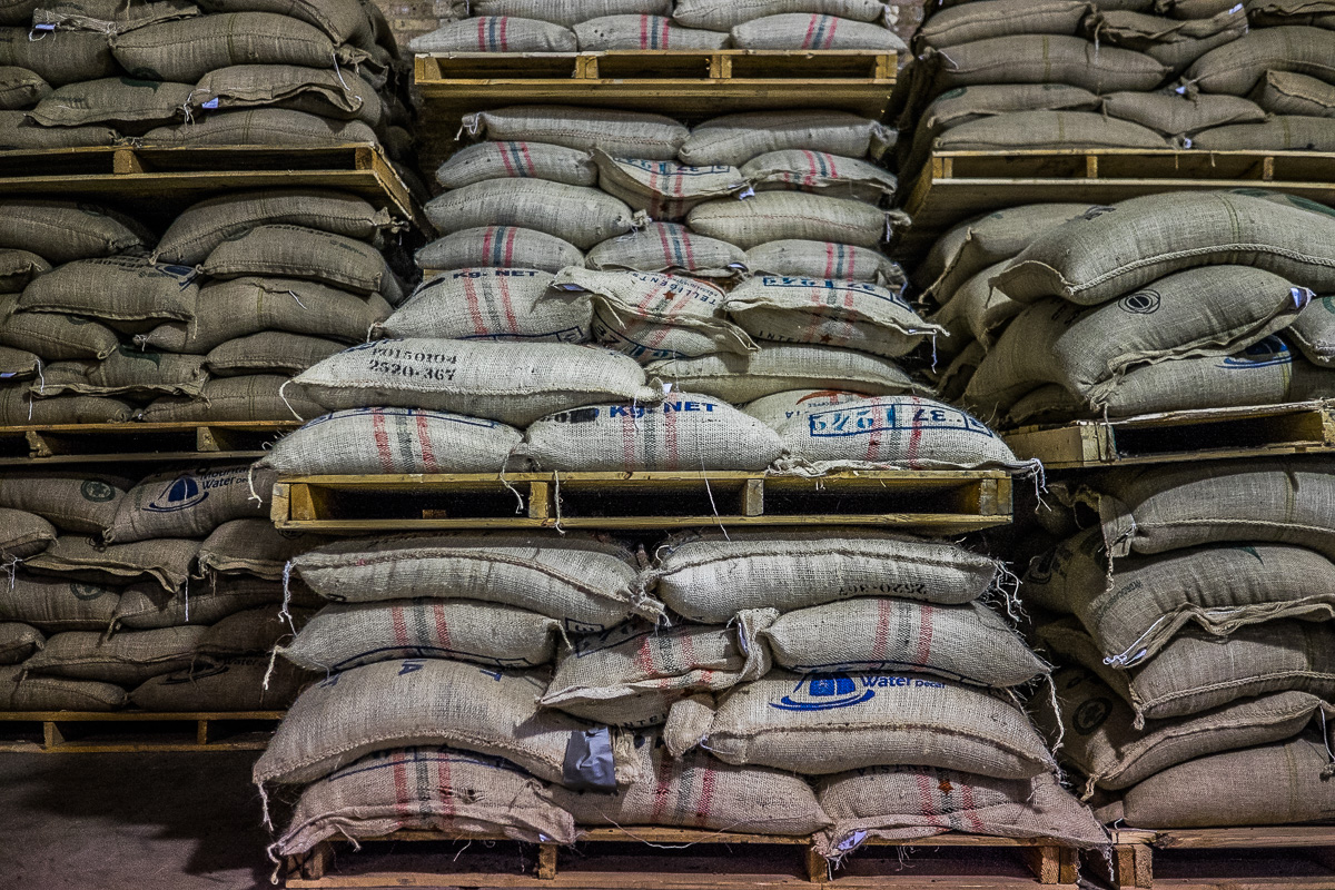 Intelligentsia Roasting