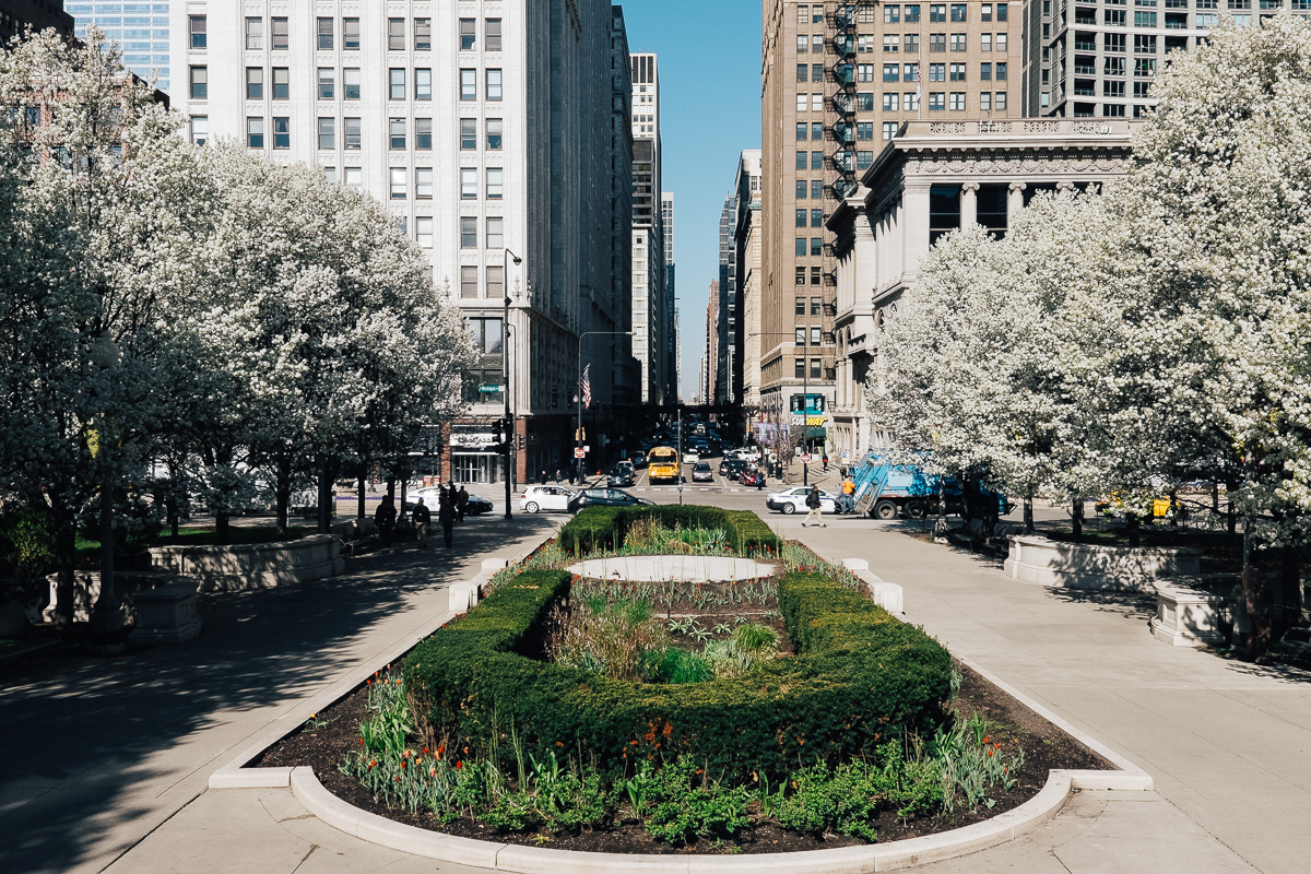 Milennium Park Chicago