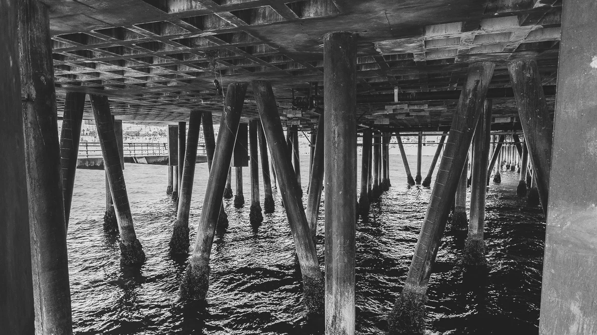 Santa Monica Under Pier