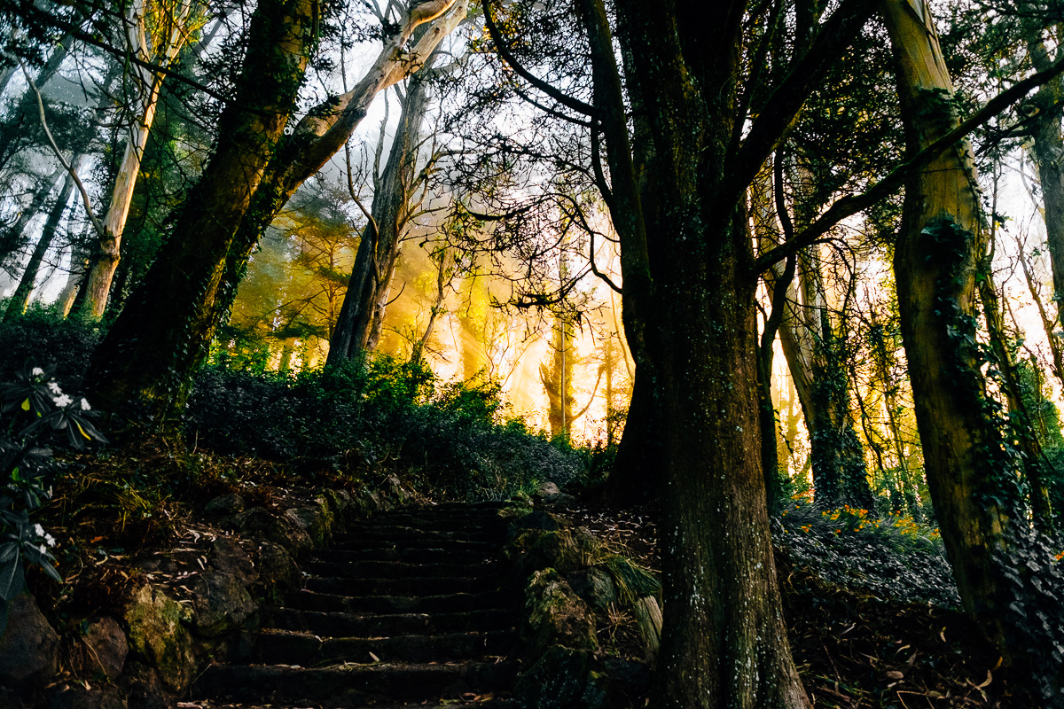 San Francisco Twin Peaks