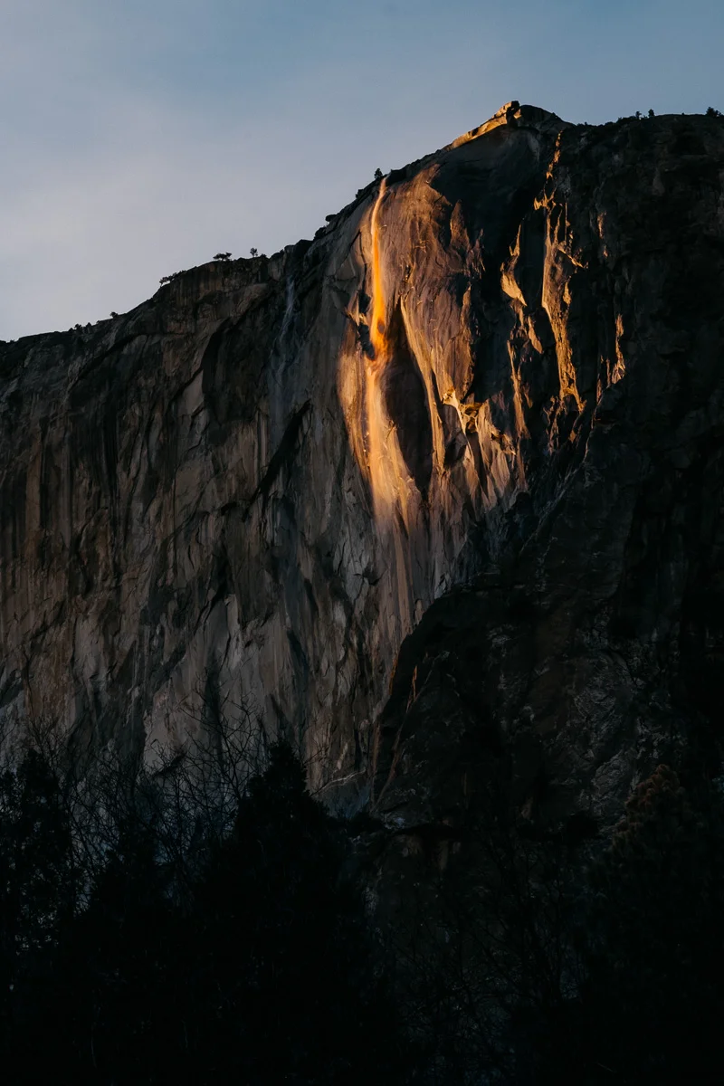 Yosemite Horsetail