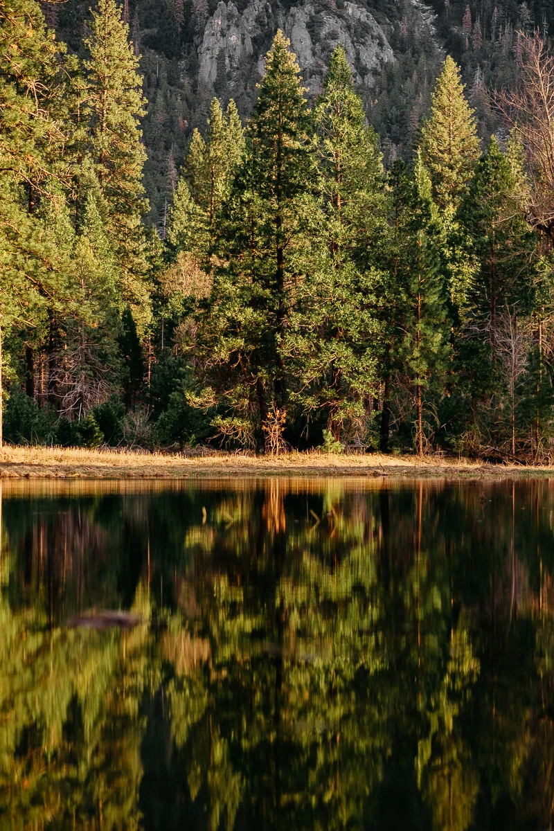 Yosemite Valley Tree Lake