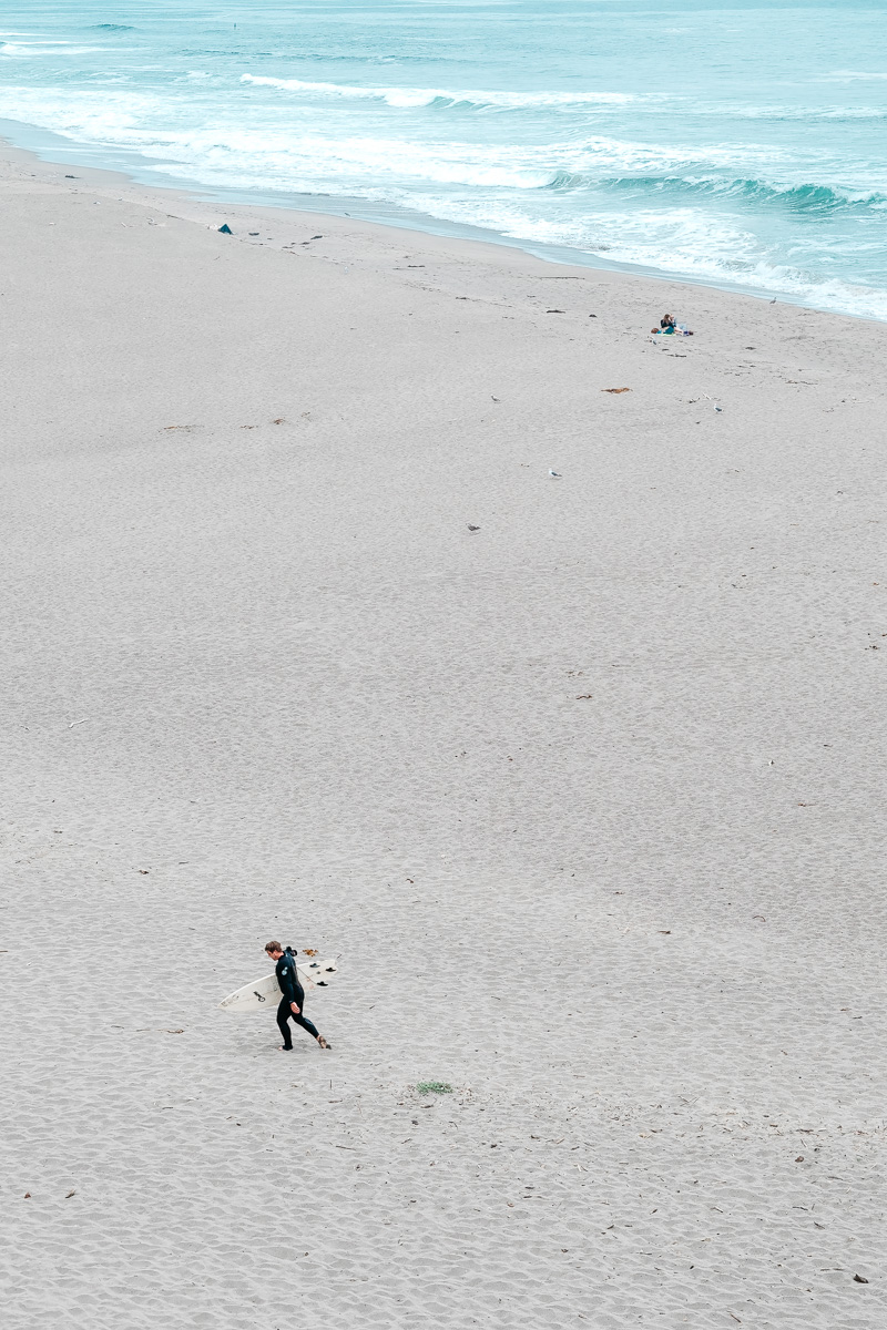 Road Trip Through Point Reyes