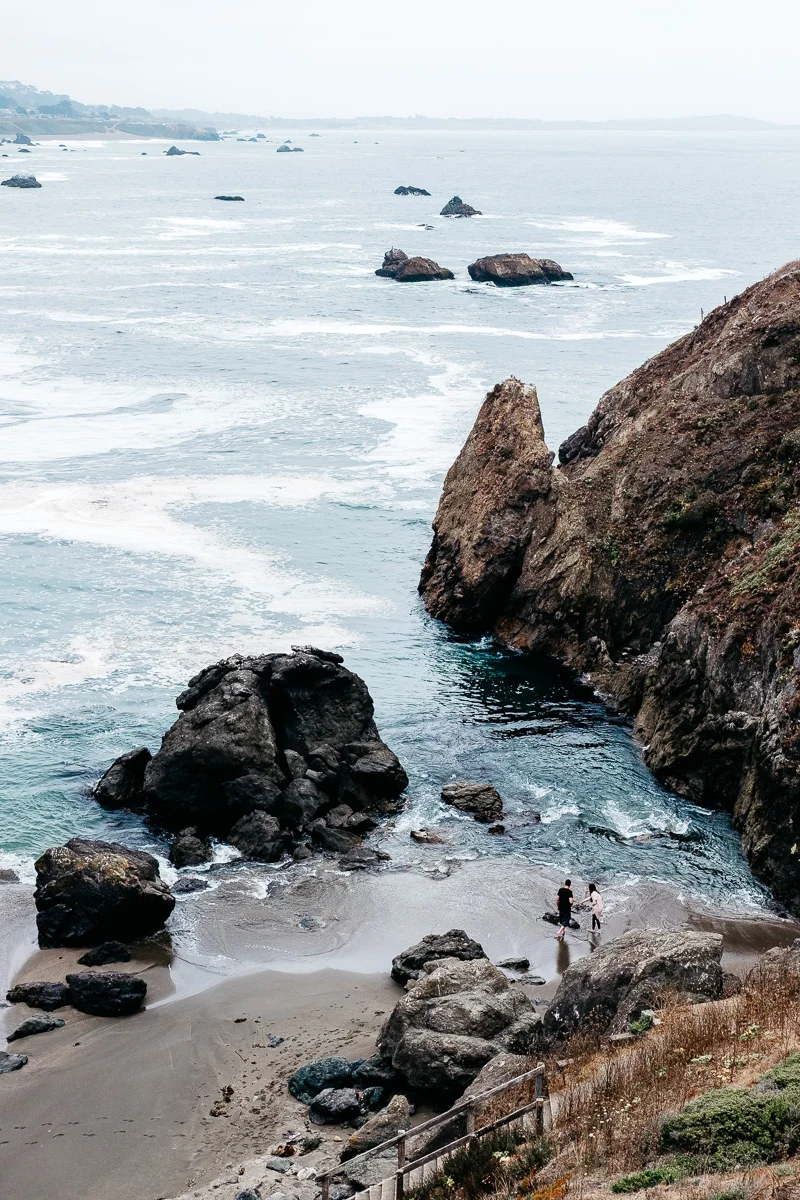 Road Trip Through Point Reyes