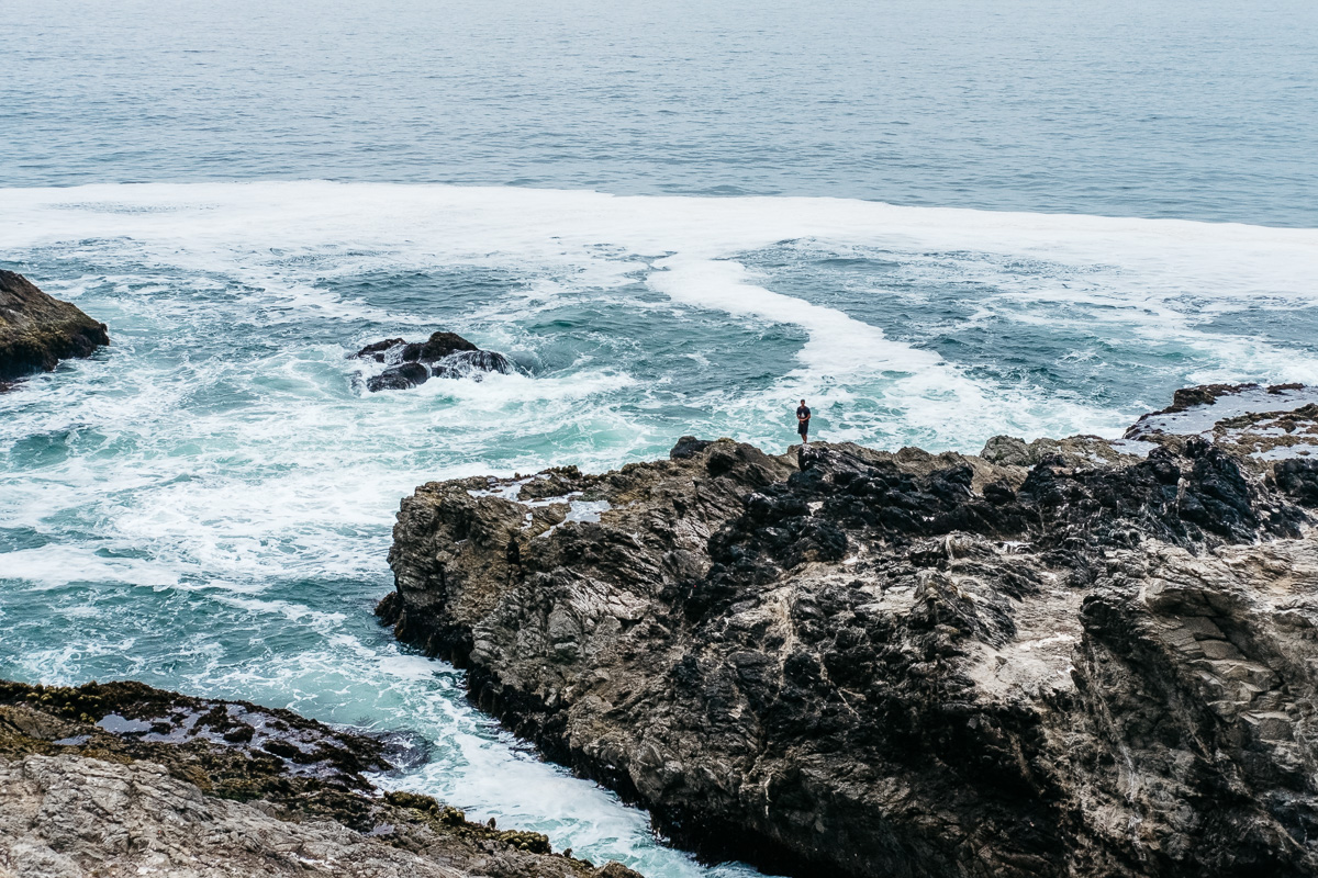 Road Trip Through Point Reyes