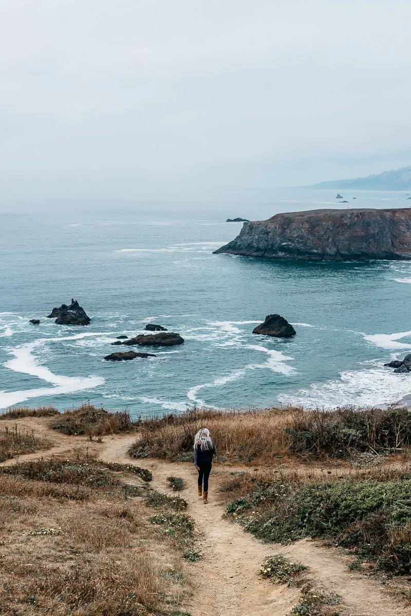 Road Trip Through Point Reyes