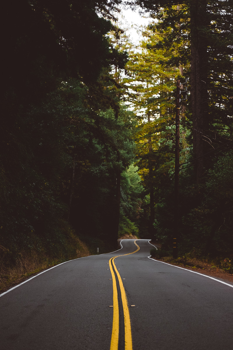 Road Trip Through Point Reyes