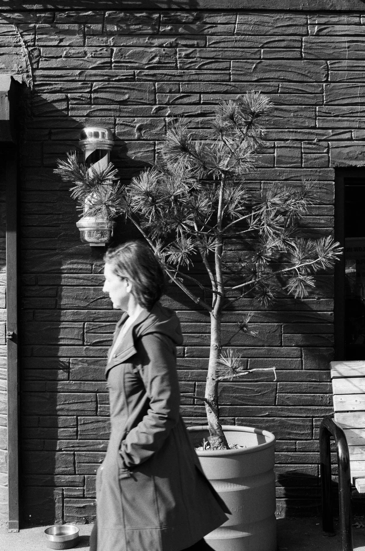 Woman at Blue and Black Barber Shop