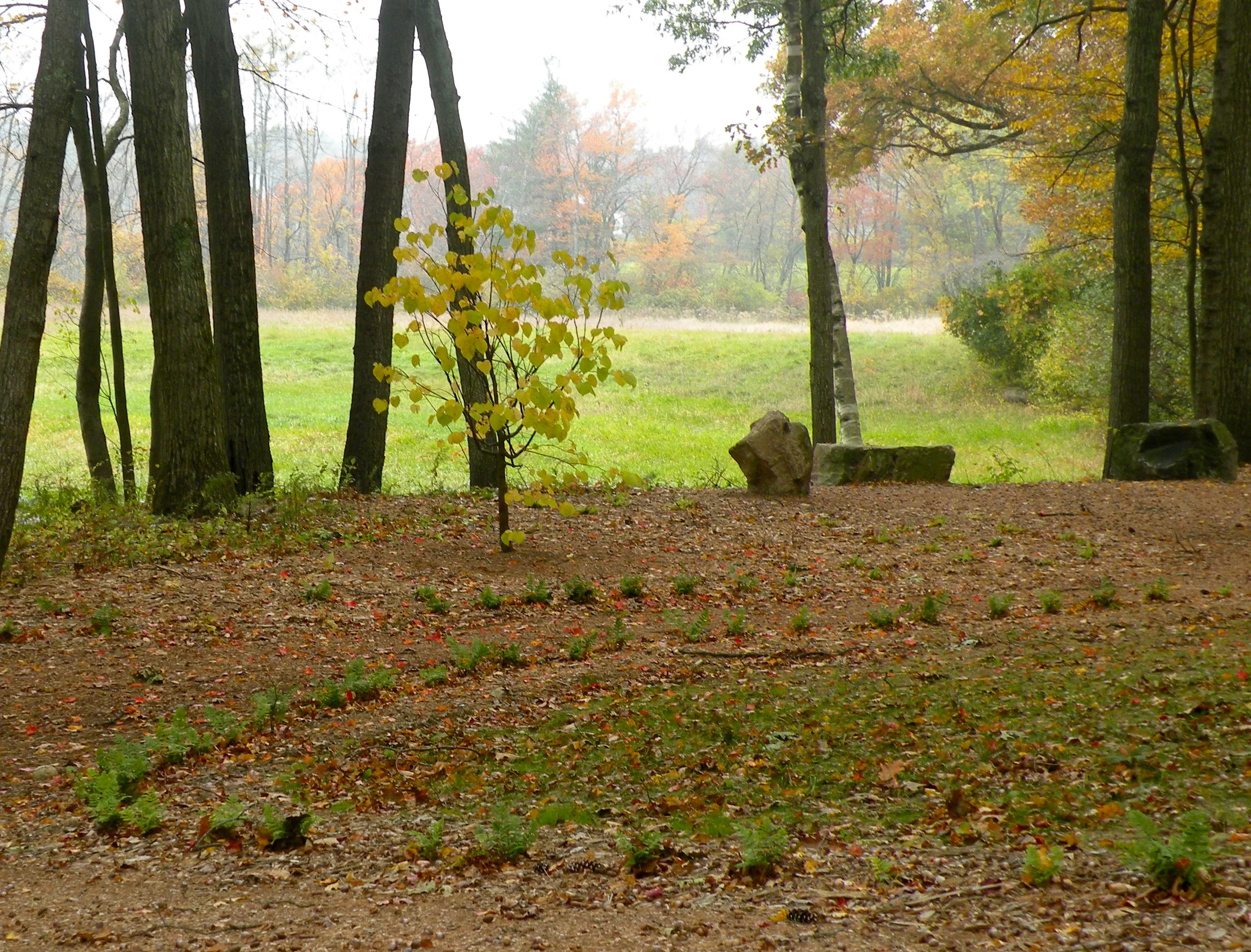 Contemplative Sanctuary