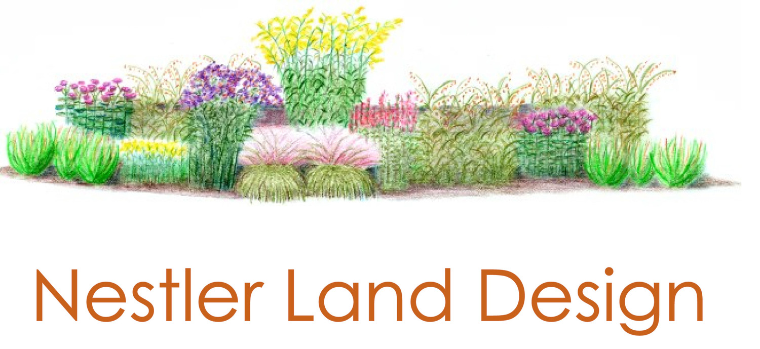 Nestler Landscape Design - Harvard, MA